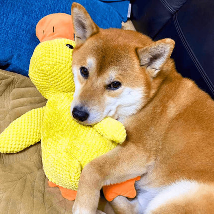 Kalmerend hondenspeelgoed eend | Zacht knuffelspeelgoed voor honden | Stressverlagend kauwspeelgoed | Duurzaam polyester | Voor angstige en gevoelige honden