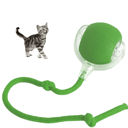 1+1 gratis CatMotion - Minimaliseert stress door regelmatige uitdagingen