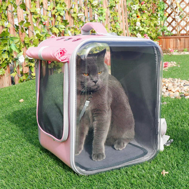 Huisdierdrager voor katten en kleine honden | Ademend en transparant ontwerp | Comfortabele en veilige vervoerstas met handgreep en schouderband
