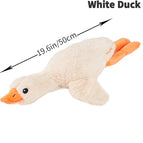 Witte eend