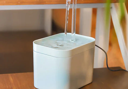 AquaPaws | Automatische waterdispenser voor huisdieren met antibacterieel filter | Grote capaciteit | Voedselveilig | Gemakkelijk schoon te maken