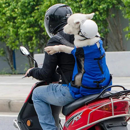 TrailMate honden rugzak | Comfortabele honden draagtas voor buitenactiviteiten | Geschikt voor kleine tot middelgrote honden | Ademend & stevig | Veilig wandelen en avontuur samen