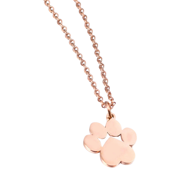 Gepersonaliseerde RVS ketting met hondenpoot hanger | Naam gravure sieraad voor huisdieren | Unisex herinneringssieraad | Uniek cadeau voor dierenvrienden