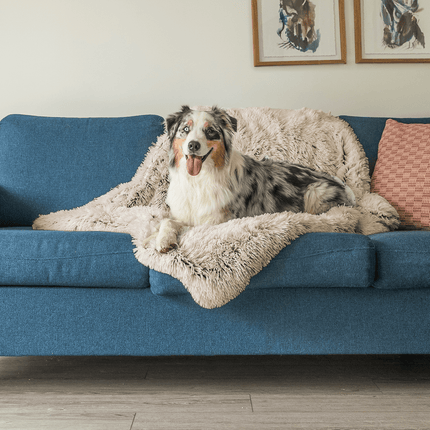 Buddy | Luxe Zachte Honden Deken | Slaapverbeteraar | Chemicaliënvrij | Veelzijdige Huisdecoratie