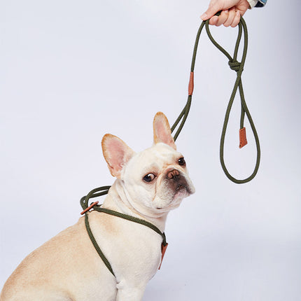 Nylon Trainingslijn voor Honden | Weerbestendig | 143 cm | Veelzijdig en Lichtgewicht | Meerdere Kleuren Beschikbaar