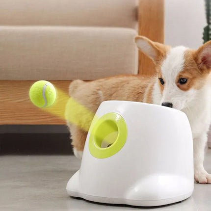 AutoFetch | Slimme Automatische Balwerper Met Infraroodsensor Voor Actieve Honden En Katten | Drie Afstandsniveaus | Inclusief 3 Tennisballen