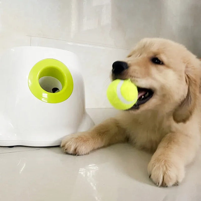 AutoFetch | Slimme Automatische Balwerper Met Infraroodsensor Voor Actieve Honden En Katten | Drie Afstandsniveaus | Inclusief 3 Tennisballen