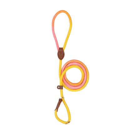 Kluwenvrije Nylon Hondenlijn | Ergonomische Grip | Duurzame Constructie | Geschikt voor Korte en Lange Wandelingen | Verkrijgbaar in Paars, Roze, Geel | Maten: S, M, L, XL | Modern Ontwerp