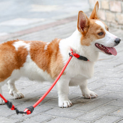Nylon Verstelbare Halsband Voor Honden | Training en Wandelen | Hoogwaardige Veiligheidssluiting | Comfortabele Pasvorm | Geschikt Voor Alle Maten & Rassen | Rood, Blauw, Zwart of Oranje