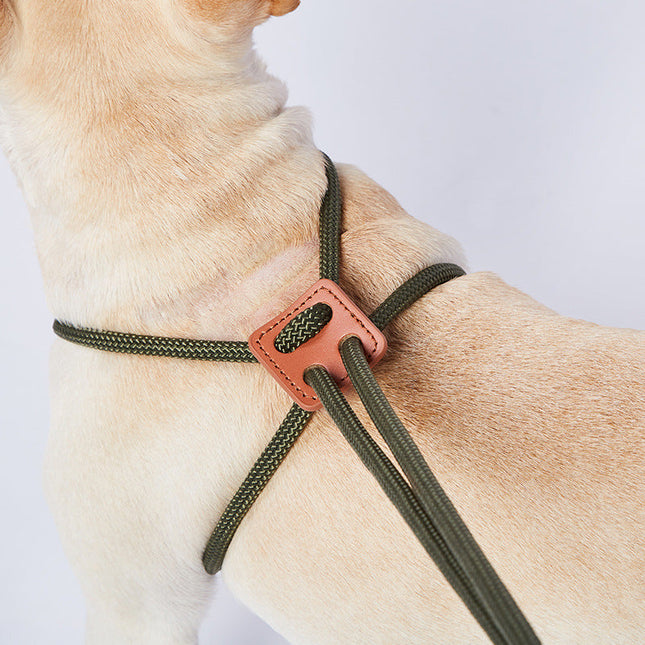 Nylon Trainingslijn voor Honden | Weerbestendig | 143 cm | Veelzijdig en Lichtgewicht | Meerdere Kleuren Beschikbaar
