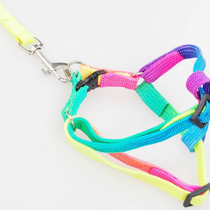 Regenboog Nylon Huisdier Harnas Set | Verstelbaar en Ergonomisch | 120cm Lijn | Comfortabel, Duurzaam en Kleurrijk Design