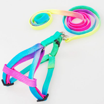 Regenboog Nylon Huisdier Harnas Set | Verstelbaar en Ergonomisch | 120cm Lijn | Comfortabel, Duurzaam en Kleurrijk Design