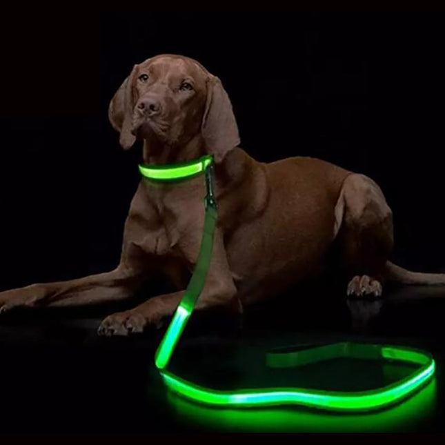 LED Veiligheidsriem Voor Honden | USB Oplaadbaar | Meerdere Lichtstanden | Ergonomisch Handvat | Nylon | Verkrijgbaar in Diverse Kleuren | 120cm Lang | 2.5cm Breed | Nachtelijke Wandeling Veiligheid