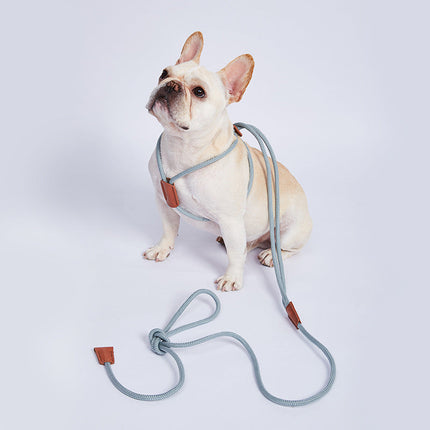 Nylon Trainingslijn voor Honden | Weerbestendig | 143 cm | Veelzijdig en Lichtgewicht | Meerdere Kleuren Beschikbaar