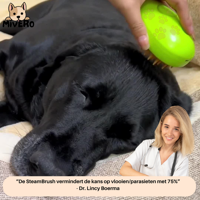 SteamBrush™ voor Huisdieren | Hydraterende Vachtverzorging met Stoom en Massage | Verminder Stress en Versterk de Band