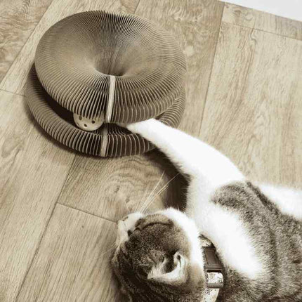 PetStory™ | Houdt Katten Actief en Bescherm Uw Meubels | Geschikt voor Alle Leeftijden en Maten | Duurzaam en Eenvoudig te Installeren