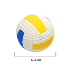 Volleybal
