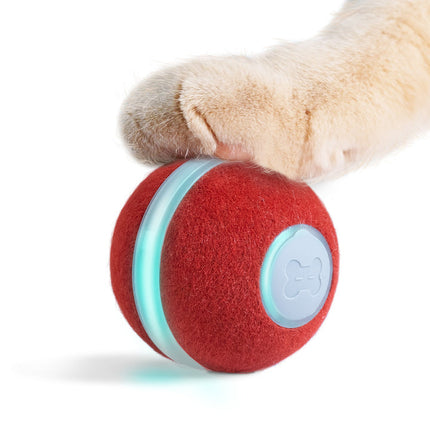 Cheerble® Interactieve Bal 2.0 | Slim Speelgoed met 360° Sensoren voor Katten en Kleine Honden | USB-oplaadbaar | 4 Uur Plezier