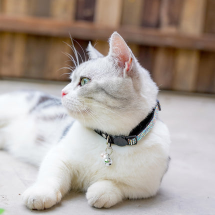 Rhinestone kattenhalsband verstelbaar 20-31 cm | Veiligheidsbuckle | Met bel | Zacht kunstleer | Voor kittens en volwassen katten