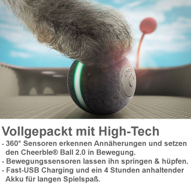 Cheerble® Interactieve Bal 2.0 | Slim Speelgoed met 360° Sensoren voor Katten en Kleine Honden | USB-oplaadbaar | 4 Uur Plezier