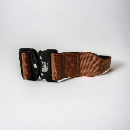 Collar táctico de nailon para perro | Naranja brillante | Duradero y cómodo | Calidad militar | Liberación rápida y palanca de control | Ideal para perros activos