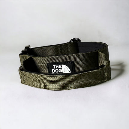Collar táctico de nailon para perro | Naranja brillante | Duradero y cómodo | Calidad militar | Liberación rápida y palanca de control | Ideal para perros activos