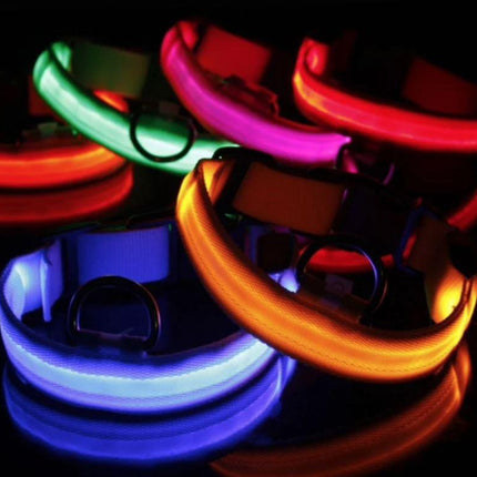 LED-halsband hond | Verhoogde zichtbaarheid in het donker | Meerdere en | Oplaadbaar | Duurzaam en waterbestendig | Geschikt voor alle hondenmaten