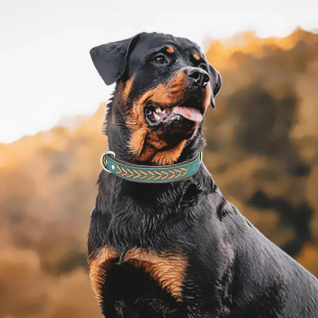 Ręcznie robiona luksusowa skórzana obroża dla psa | Wysokiej jakości skóra | Unikalny, ręcznie wykonany design | Wygodna i trwała | Odpowiednia dla małych i średnich psów | Stylowy dodatek dla miłośników psów