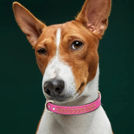 Ręcznie robiona luksusowa skórzana obroża dla psa | Wysokiej jakości skóra | Unikalny, ręcznie wykonany design | Wygodna i trwała | Odpowiednia dla małych i średnich psów | Stylowy dodatek dla miłośników psów