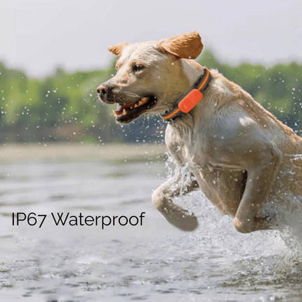 4G GPS Tracker Huisdieren | Realtime Locatie | Waterdicht IP67 | Veiligheid Halsband | Wereldwijde Dekking | Groen Oranje | Compatibel met iOS Android | Nano SIM Slot | Bewegingshistorie en Geo-fence