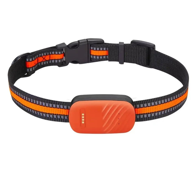 4G GPS Tracker Huisdieren | Realtime Locatie | Waterdicht IP67 | Veiligheid Halsband | Wereldwijde Dekking | Groen Oranje | Compatibel met iOS Android | Nano SIM Slot | Bewegingshistorie en Geo-fence