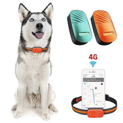 4G GPS Tracker Huisdieren | Realtime Locatie | Waterdicht IP67 | Veiligheid Halsband | Wereldwijde Dekking | Groen Oranje | Compatibel met iOS Android | Nano SIM Slot | Bewegingshistorie en Geo-fence