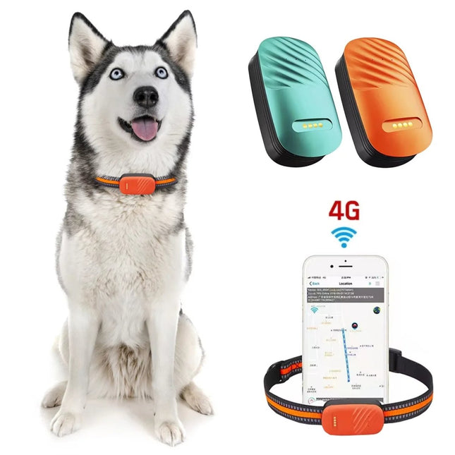 4G GPS Tracker Huisdieren | Realtime Locatie | Waterdicht IP67 | Veiligheid Halsband | Wereldwijde Dekking | Groen Oranje | Compatibel met iOS Android | Nano SIM Slot | Bewegingshistorie en Geo-fence