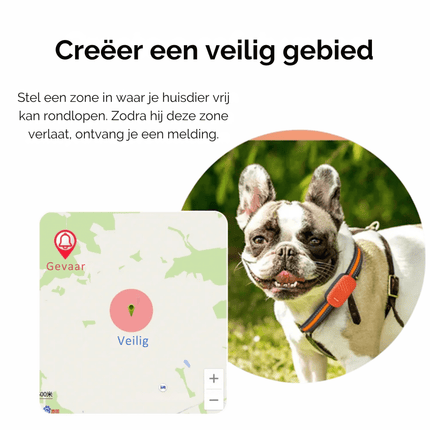 4G GPS Tracker Huisdieren | Realtime Locatie | Waterdicht IP67 | Veiligheid Halsband | Wereldwijde Dekking | Groen Oranje | Compatibel met iOS Android | Nano SIM Slot | Bewegingshistorie en Geo-fence