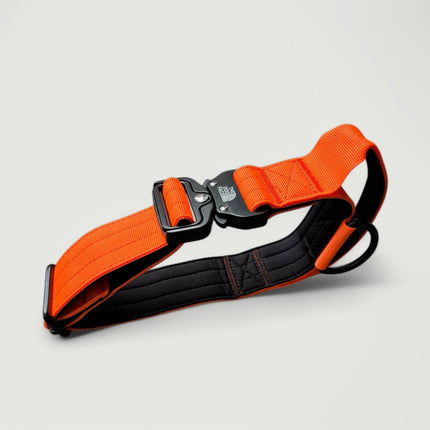 Collar táctico de nailon para perro | Naranja brillante | Duradero y cómodo | Calidad militar | Liberación rápida y palanca de control | Ideal para perros activos