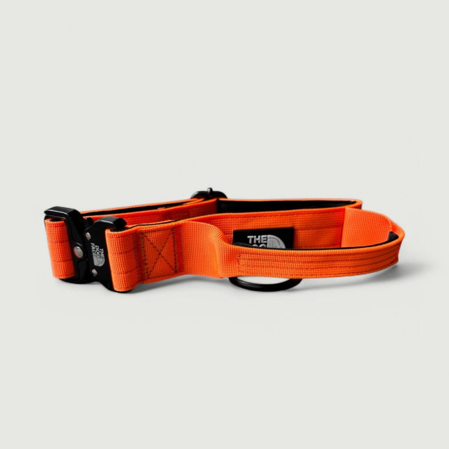 Collar táctico de nailon para perro | Naranja brillante | Duradero y cómodo | Calidad militar | Liberación rápida y palanca de control | Ideal para perros activos