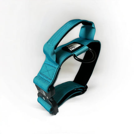 Collar táctico de nailon para perro | Naranja brillante | Duradero y cómodo | Calidad militar | Liberación rápida y palanca de control | Ideal para perros activos