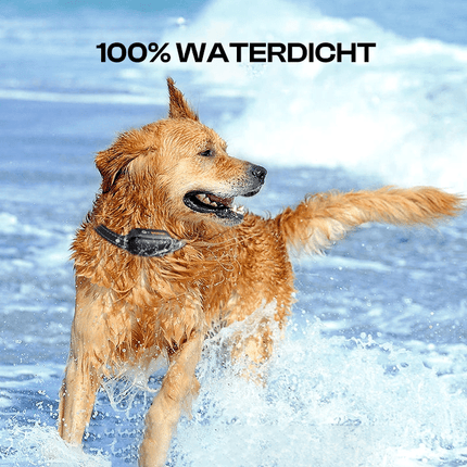 Hondentraining Halsband | Waterdicht IPX7 | 1000m Bereik | Geluid, Trilling, Schok | Draadloos | Honden 4-55kg
