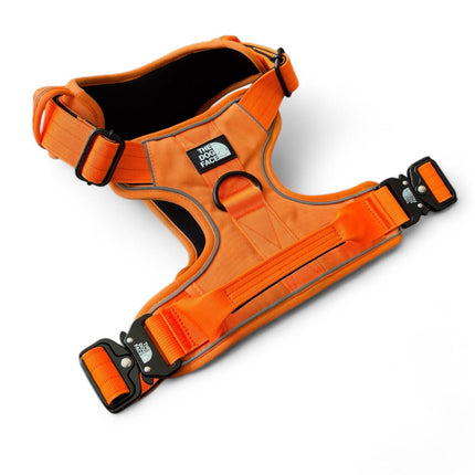 Pettorina regolabile arancione per cani | Nylon riflettente | Comfort imbottito | Controllo massimo | Resistente e resistente alle intemperie | Grado militare | Fodera in neoprene | Per cani attivi