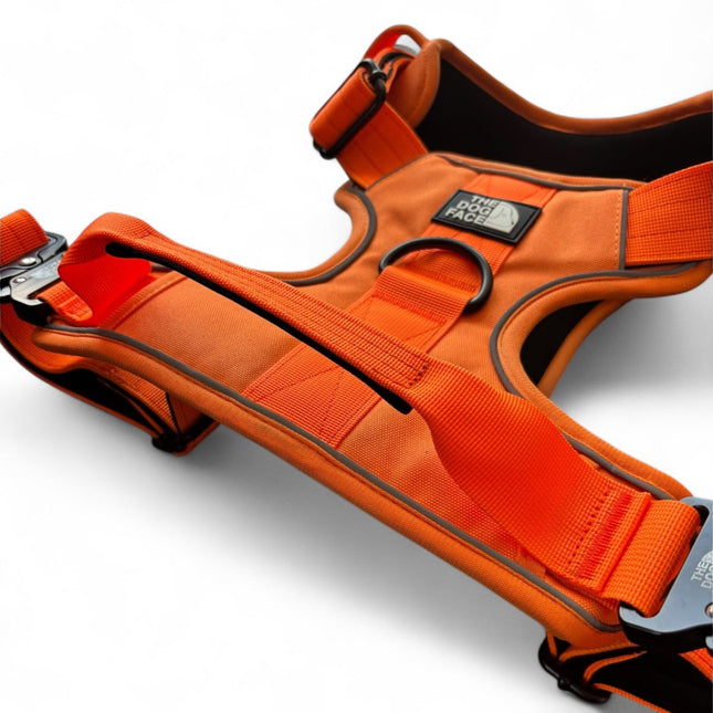Arnés naranja ajustable para perros | Nailon reflectante | Acolchado cómodo | Máximo control | Resistente a la intemperie y duradero | Grado militar | Forro de neopreno | Para perros activos