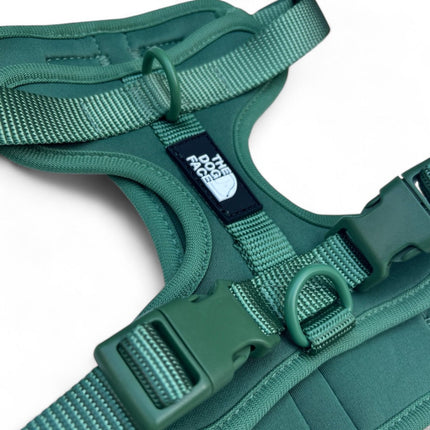 Pettorina regolabile arancione per cani | Nylon riflettente | Comfort imbottito | Controllo massimo | Resistente e resistente alle intemperie | Grado militare | Fodera in neoprene | Per cani attivi