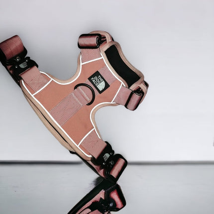 Pettorina regolabile arancione per cani | Nylon riflettente | Comfort imbottito | Controllo massimo | Resistente e resistente alle intemperie | Grado militare | Fodera in neoprene | Per cani attivi