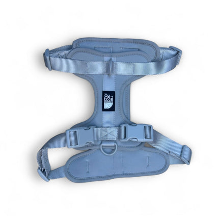 Pettorina regolabile arancione per cani | Nylon riflettente | Comfort imbottito | Controllo massimo | Resistente e resistente alle intemperie | Grado militare | Fodera in neoprene | Per cani attivi