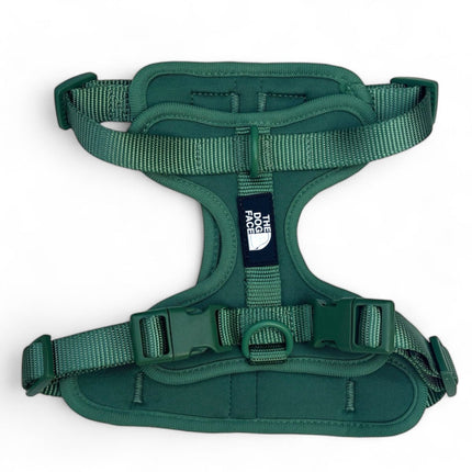 Pettorina regolabile arancione per cani | Nylon riflettente | Comfort imbottito | Controllo massimo | Resistente e resistente alle intemperie | Grado militare | Fodera in neoprene | Per cani attivi