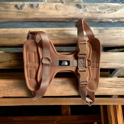 Pettorina regolabile arancione per cani | Nylon riflettente | Comfort imbottito | Controllo massimo | Resistente e resistente alle intemperie | Grado militare | Fodera in neoprene | Per cani attivi