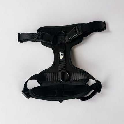 Pettorina regolabile arancione per cani | Nylon riflettente | Comfort imbottito | Controllo massimo | Resistente e resistente alle intemperie | Grado militare | Fodera in neoprene | Per cani attivi