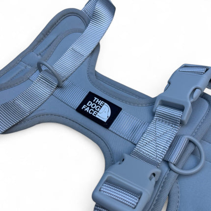 Pettorina regolabile arancione per cani | Nylon riflettente | Comfort imbottito | Controllo massimo | Resistente e resistente alle intemperie | Grado militare | Fodera in neoprene | Per cani attivi