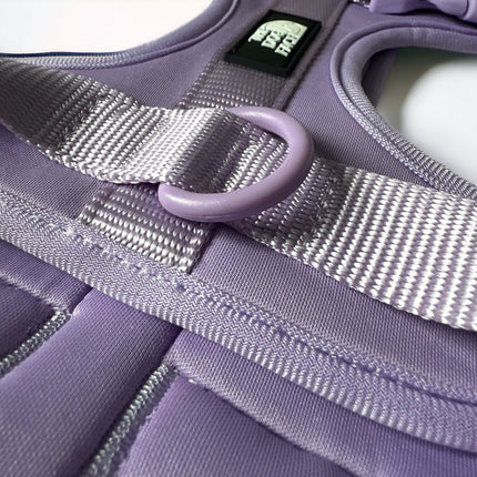 Pettorina regolabile arancione per cani | Nylon riflettente | Comfort imbottito | Controllo massimo | Resistente e resistente alle intemperie | Grado militare | Fodera in neoprene | Per cani attivi