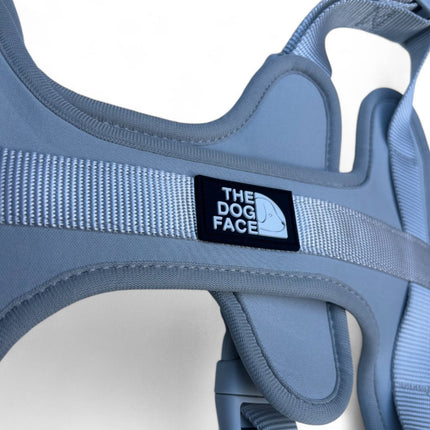 Pettorina regolabile arancione per cani | Nylon riflettente | Comfort imbottito | Controllo massimo | Resistente e resistente alle intemperie | Grado militare | Fodera in neoprene | Per cani attivi