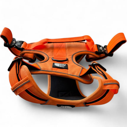 Pettorina regolabile arancione per cani | Nylon riflettente | Comfort imbottito | Controllo massimo | Resistente e resistente alle intemperie | Grado militare | Fodera in neoprene | Per cani attivi